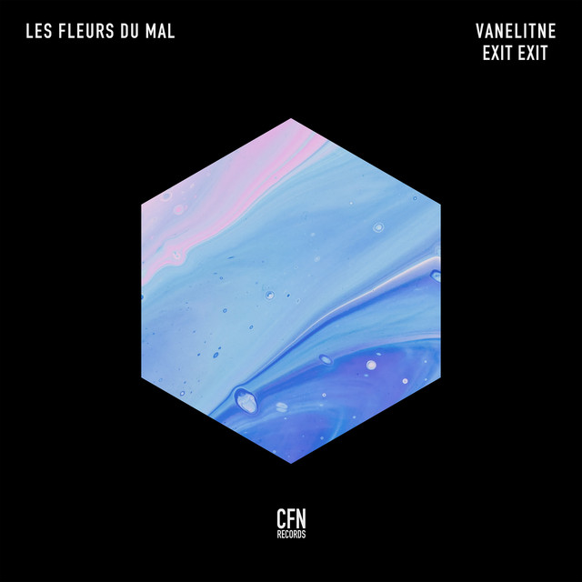 Vanelitne - Les Fleurs du Mal (Exit Exit remix) - Writing, production, mix, mastering